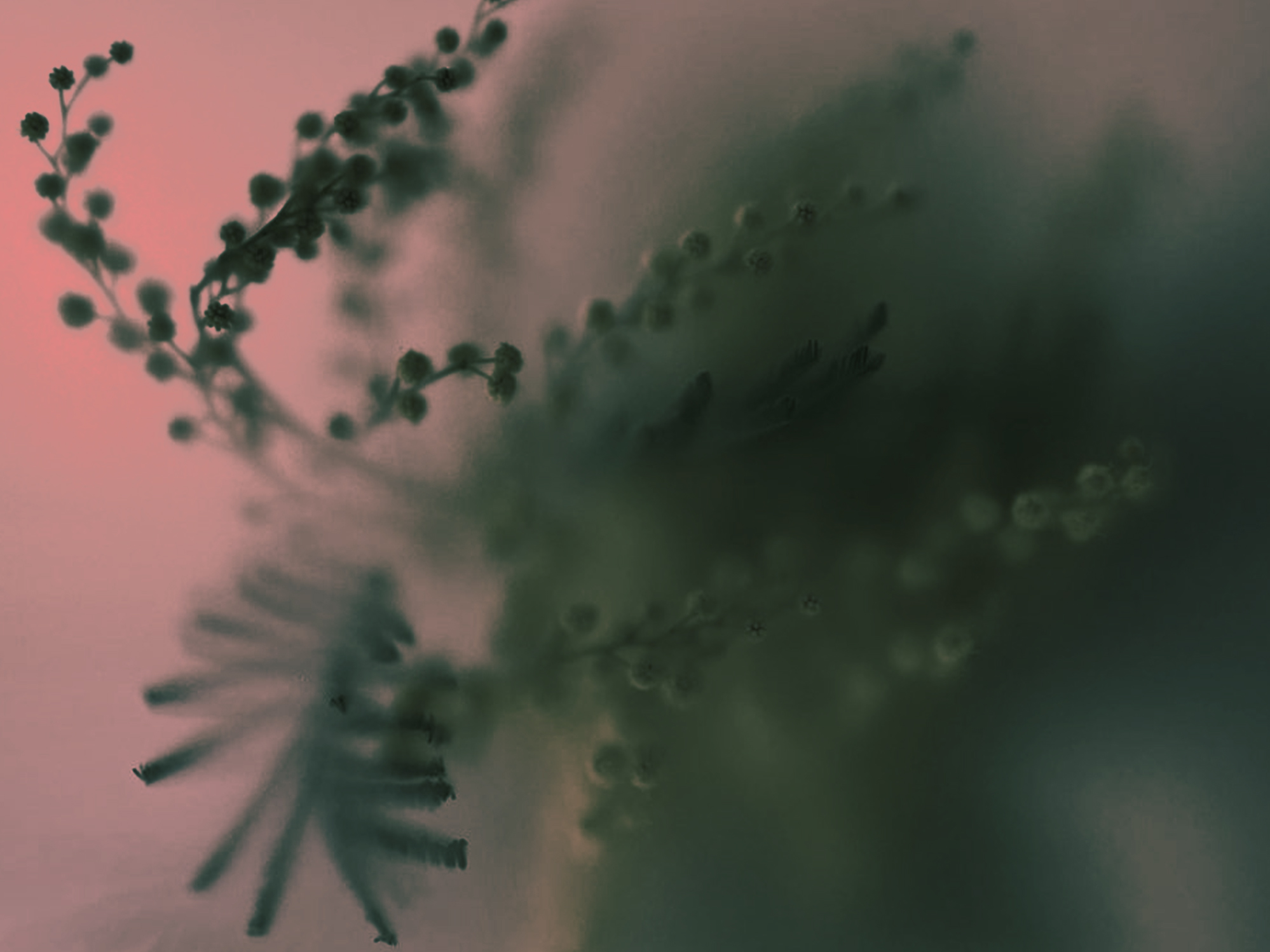 Психологическое консультирование